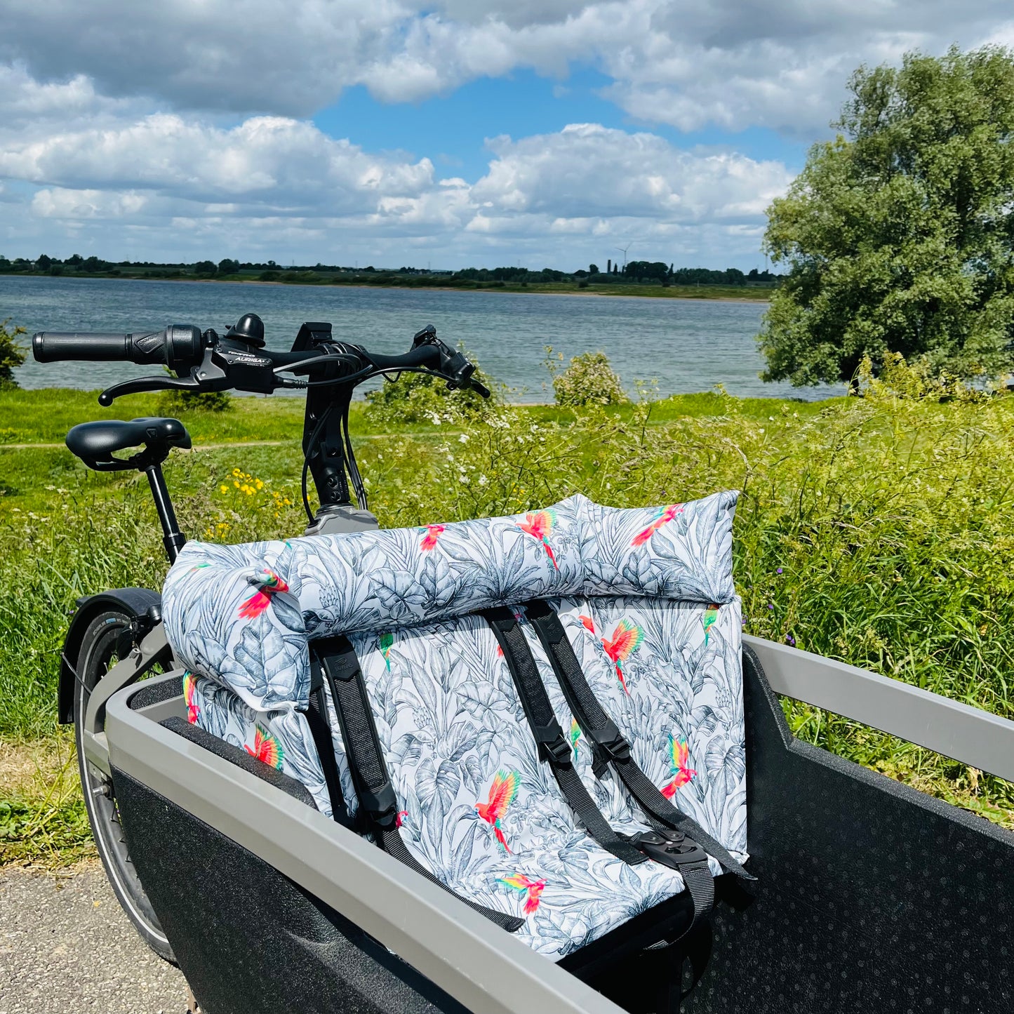 Cargo bike cushion Lovens - Parrot