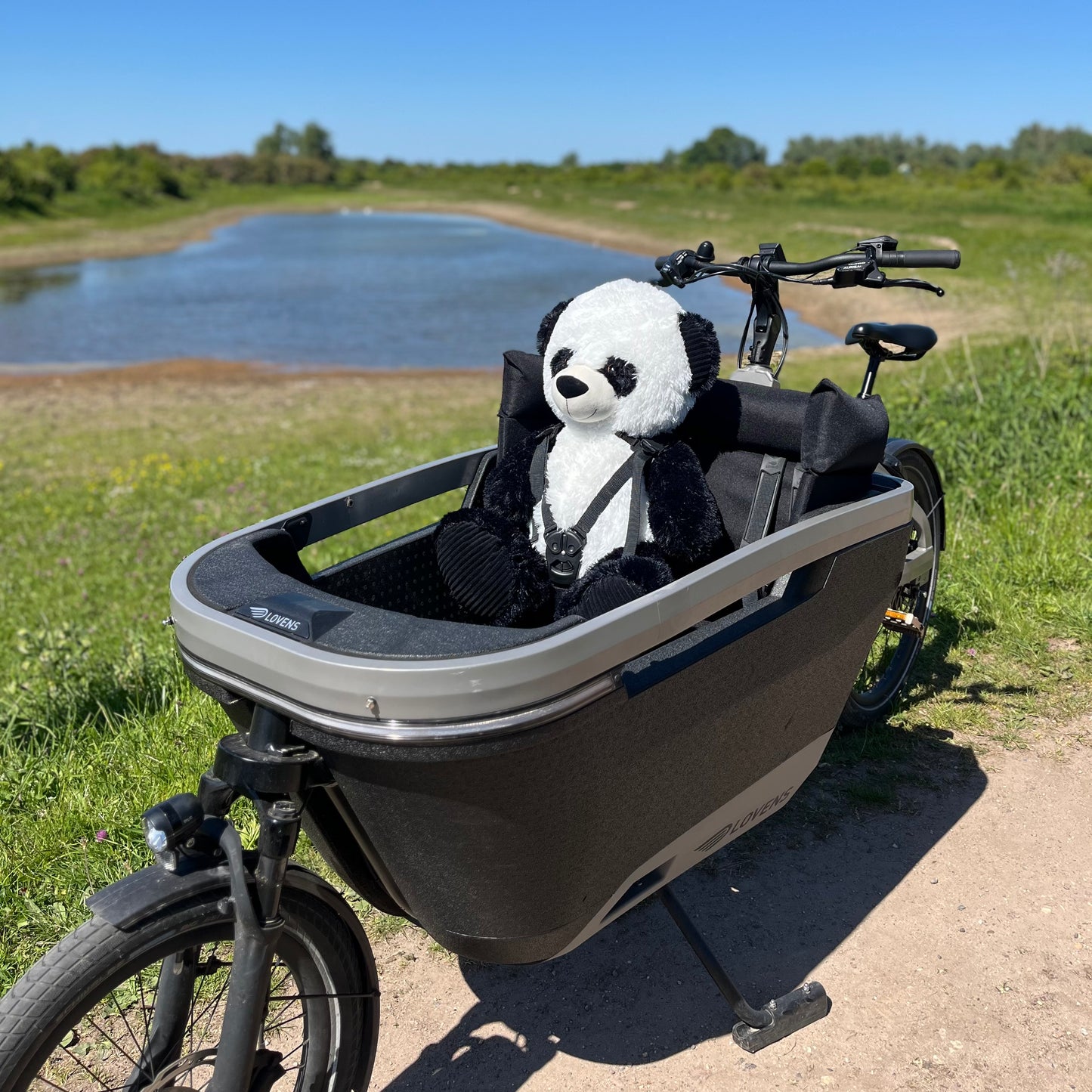 Cargo bike cushion Lovens - Black