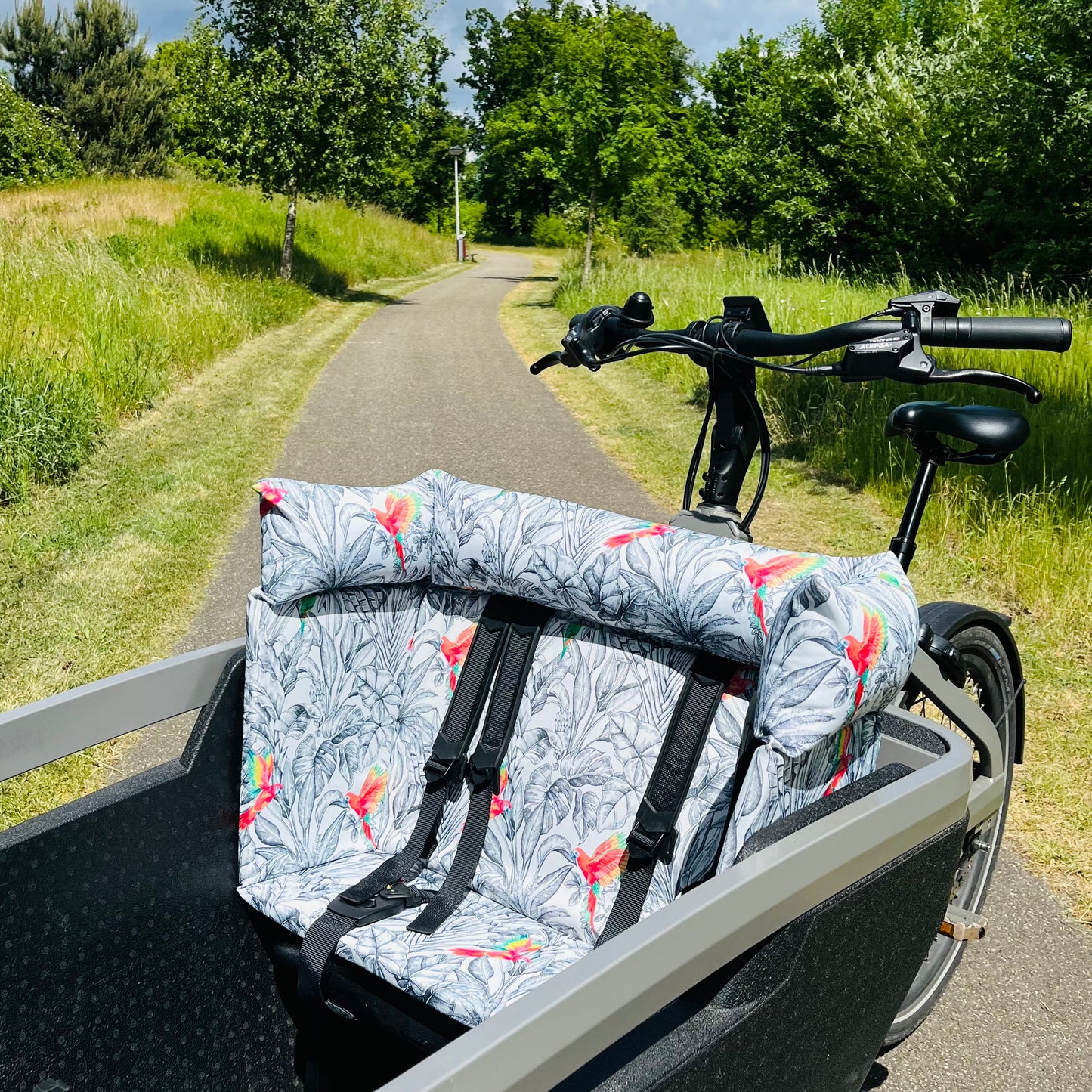 Cargo bike cushion Lovens - Parrot