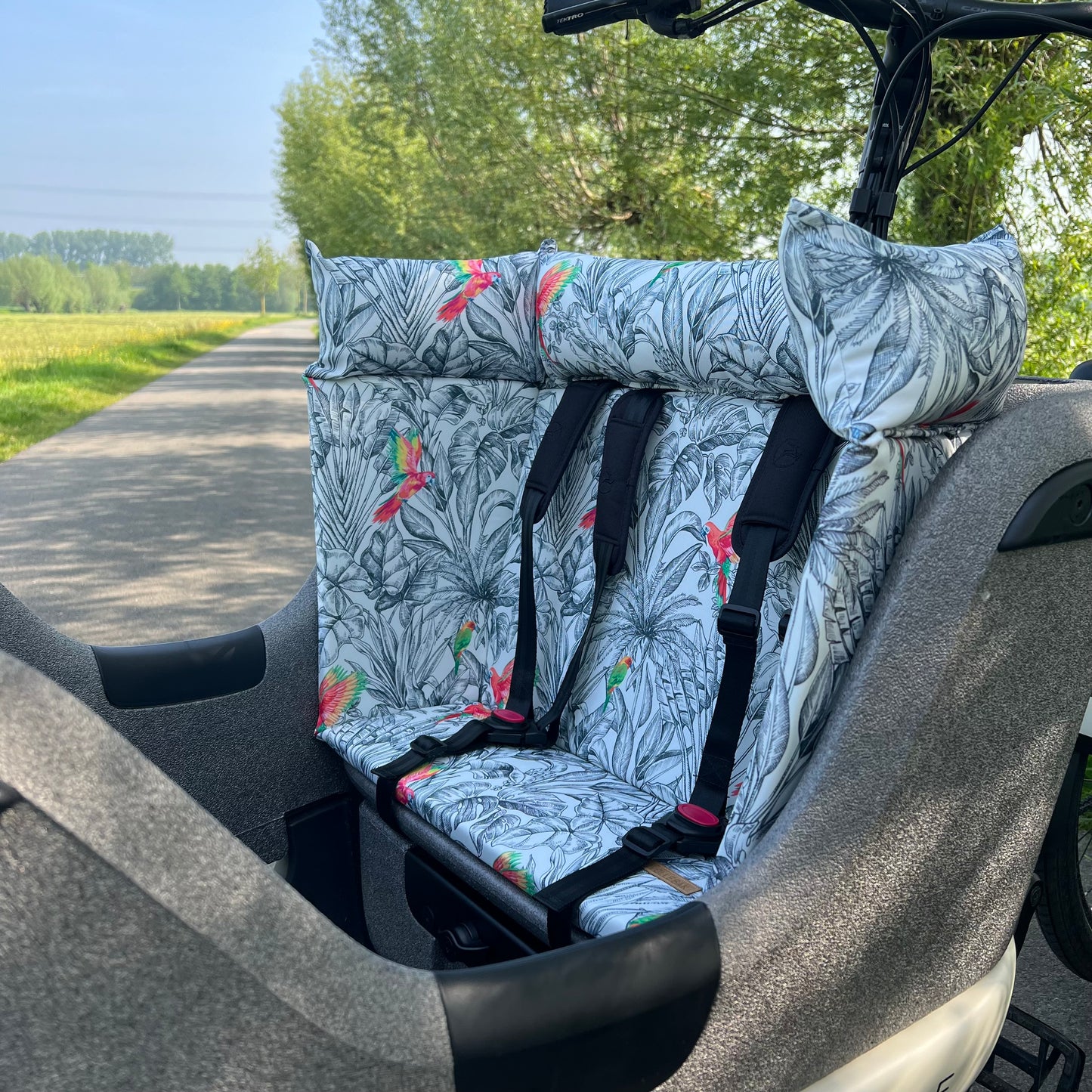 Cargo bike pillow - Parrot