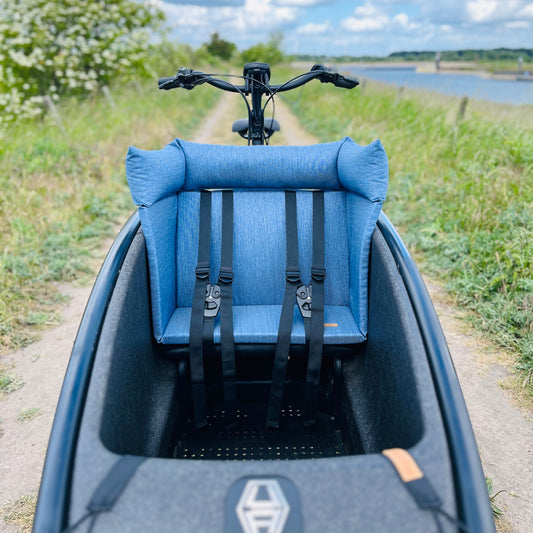 Cargo bike pillow Urban Arrow - Blue