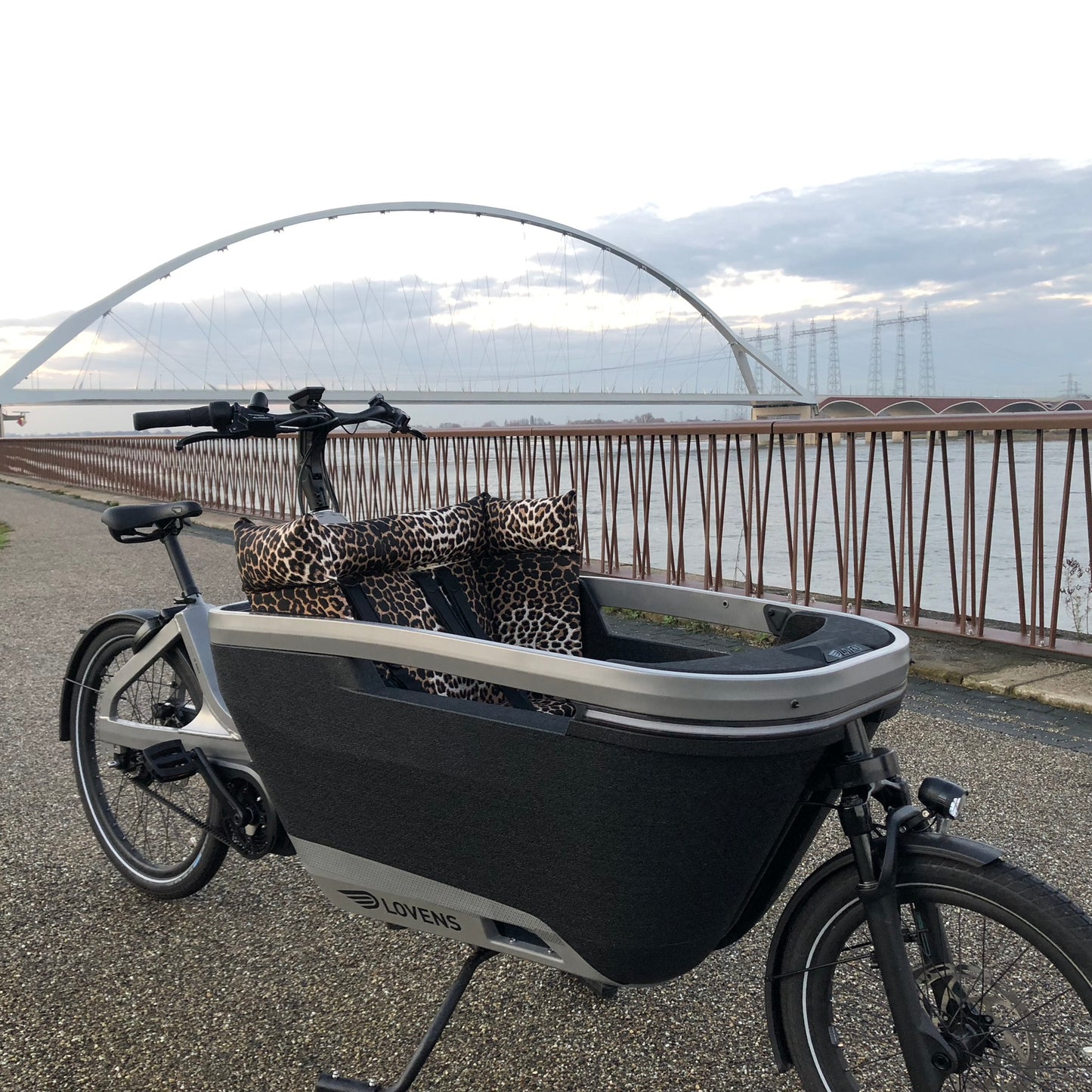 Cargo bike cushion Lovens - Leopard