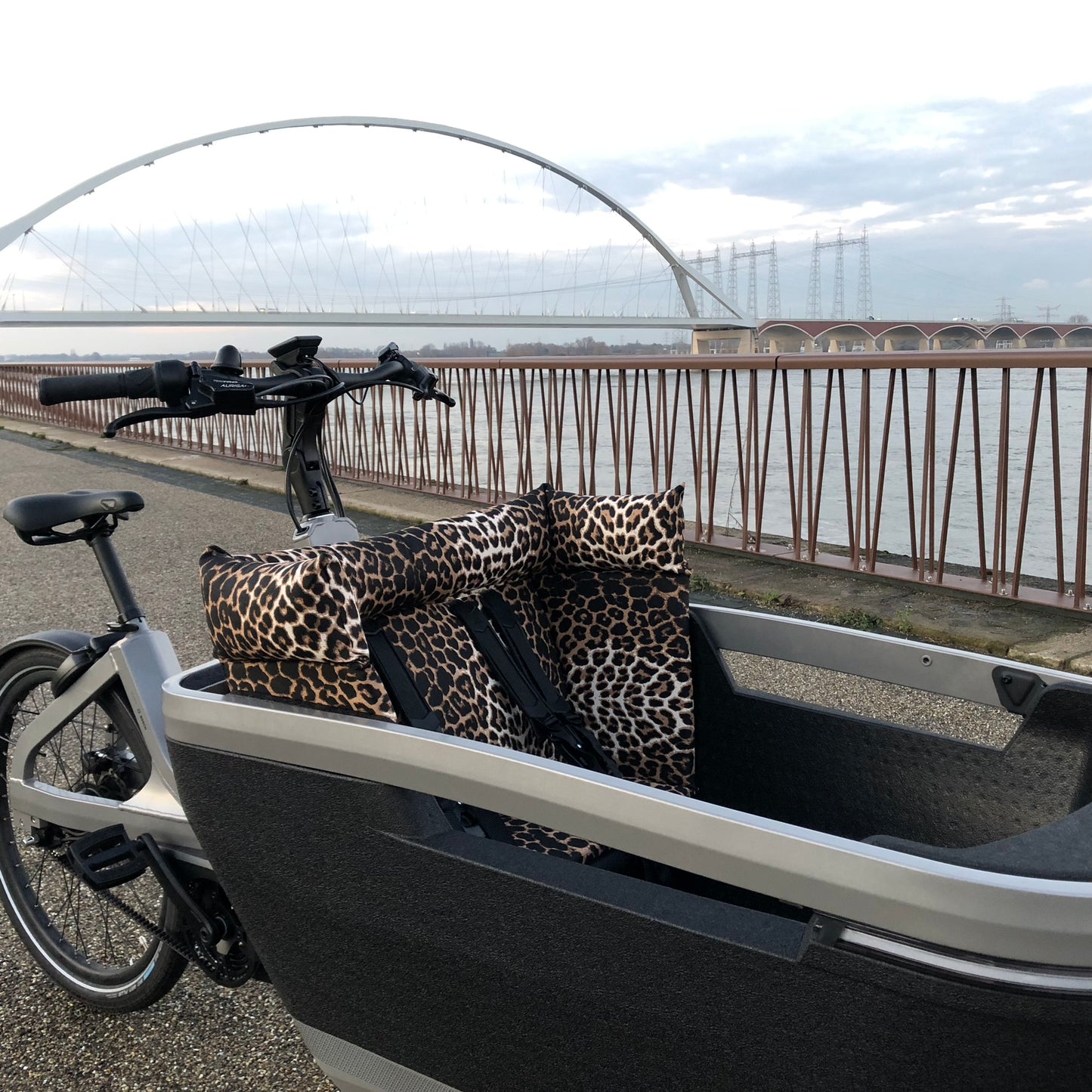 Cargo bike cushion Lovens - Leopard